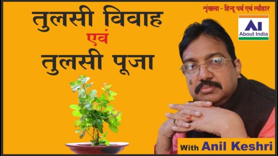 तुलसी विवाह एवं तुलसी पूजा | Tulsi Vivah and Tulsi Puja