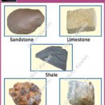 SedimentaryRocks RockCycle Stratification Lithification GeologyMap EarthScience FossilRecords Sedimentology GeographyNotes Sandstone Limestone Shale Conglomerate CoalFormation Chalk OrganicRocks ChemicalSedimentary GeographyPreparation UPSCGeography PhysicalGeography LearnGeology ScienceDiagram GeologyStudents Geography Table of Geography Image of Geography Geography of India Physical Geography Anil Keshri About India About India channel UPSC IAS CSE PCS UPPCS RAS BPSC JPSC MPPCS  UKPCS HPPSC JKPSC TNPSC APPSC KPSC TGPSC Kerala PCS MPSC APSC OPSC