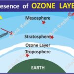 #Atmosphere #OzoneLayer #Ionosphere #Stratosphere #Geography #EnvironmentalScience #UVProtection #EarthScience #ClimateChange #ScienceDiagrams #UPSCGeography #AnilKeshri #PhysicalGeography #AtmosphericScience #RadioWaves Geography Table of Geography Image of Geography Geography of India Physical Geography Anil Keshri About India About India channel UPSC IAS CSE PCS UPPCS RAS BPSC JPSC MPPCS  UKPCS HPPSC JKPSC TNPSC APPSC KPSC TGPSC Kerala PCS MPSC APSC OPSC