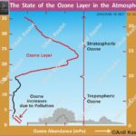 #OzoneLayer #SaveOzone #ClimateChange #Environment #Stratosphere #OzoneHole #GlobalWarming #EarthScience #MontrealProtocol #GeographyNotes #UPSCEnvironment #EcoFriendly #AnilKeshri #AtmosphericScience #NatureProtection Geography Table of Geography Image of Geography Geography of India Physical Geography Anil Keshri About India About India channel UPSC IAS CSE PCS UPPCS RAS BPSC JPSC MPPCS  UKPCS HPPSC JKPSC TNPSC APPSC KPSC TGPSC Kerala PCS MPSC APSC OPSC