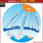 #OzoneDepletion #SaveTheOzone #ClimateChange #EnvironmentalScience #Stratosphere #OzoneHole #CFCs #GlobalWarming #MontrealProtocol #GeographyNotes #UPSCGeography #EcoSystem #AnilKeshri #EarthScience #ScienceDiagrams Geography Table of Geography Image of Geography Geography of India Physical Geography Anil Keshri About India About India channel UPSC IAS CSE PCS UPPCS RAS BPSC JPSC MPPCS  UKPCS HPPSC JKPSC TNPSC APPSC KPSC TGPSC Kerala PCS MPSC APSC OPSC