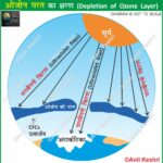 #OzoneDepletion #SaveTheOzone #ClimateChange #EnvironmentalScience #Stratosphere #OzoneHole #CFCs #GlobalWarming #MontrealProtocol #GeographyNotes #UPSCGeography #EcoSystem #AnilKeshri #EarthScience #ScienceDiagrams Geography Table of Geography Image of Geography Geography of India Physical Geography Anil Keshri About India About India channel UPSC IAS CSE PCS UPPCS RAS BPSC JPSC MPPCS  UKPCS HPPSC JKPSC TNPSC APPSC KPSC TGPSC Kerala PCS MPSC APSC OPSC