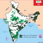  ForestMapOfIndia IndianGeography ForestsOfIndia MapOfIndia IndianForestry NaturalVegetation TropicalEvergreenForest DeciduousForest MangrovesOfIndia HimalayanForests WesternGhats WildlifeSanctuaries UPSCGeography GeographyNotes MapPointings IndianEnvironment EcologyIndia ForestCoverReport Map Maps geography indian geography indian geography map geography of india world geography world geography map anil keshri About India UPSC IAS CSE PCS UPPCS RAS BPSC JPSC MPPCS  UKPCS HPPSC JKPSC TNPSC APPSC KPSC TGPSC Kerala PCS MPSC APSC OPSC