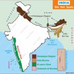  Biodiversity Hotspots of India Conservation in India Endemic Species India Indian Ecology Wildlife Conservation. Western Ghats Eastern Himalayas Indo-Burma Border Nicobar Islands UPSC Environment Geography of India Environmental Science Nature Conservation Map Maps geography indian geography indian geography map geography of india world geography world geography map anil keshri About India UPSC IAS CSE PCS UPPCS RAS BPSC JPSC MPPCS  UKPCS HPPSC JKPSC TNPSC APPSC KPSC TGPSC Kerala PCS MPSC APSC OPSC