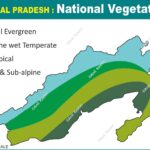#ArunachalPradesh #VegetationMap #AnilKeshri #AboutIndia #ForestTypes #Biodiversity #NortheastIndia #NatureGeography #UPSCGeography #EcoSystem #HimalayanFlora #GreenIndia #MapOfIndia #BotanicalGeography #EnvironmentScience Map Maps World Map Maps of Geography Maps of The World Geography Indian Geography Indian Geography Map Geography of India World Geography World Geography Map Anil Keshri About India About India channel UPSC IAS CSE PCS UPPCS RAS BPSC JPSC MPPCS  UKPCS HPPSC JKPSC TNPSC APPSC KPSC TGPSC Kerala PCS MPSC APSC OPSC