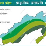 #ArunachalPradesh #VegetationMap #AnilKeshri #AboutIndia #ForestTypes #Biodiversity #NortheastIndia #NatureGeography #UPSCGeography #EcoSystem #HimalayanFlora #GreenIndia #MapOfIndia #BotanicalGeography #EnvironmentScience Map Maps World Map Maps of Geography Maps of The World Geography Indian Geography Indian Geography Map Geography of India World Geography World Geography Map Anil Keshri About India About India channel UPSC IAS CSE PCS UPPCS RAS BPSC JPSC MPPCS  UKPCS HPPSC JKPSC TNPSC APPSC KPSC TGPSC Kerala PCS MPSC APSC OPSC
