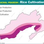 #ArunachalPradesh #RiceCultivation #RiceCultivationmap #AnilKeshri #AboutIndia #AgricultureMap #PaddyFarming #NortheastIndia #SustainableFarming #JhumCultivation #TerraceFarming #IndianGeography #FoodSecurity #UPSCGeography #AgriIndia #MapOfIndia Map Maps World Map Maps of Geography Maps of The World Geography Indian Geography Indian Geography Map Geography of India World Geography World Geography Map Anil Keshri About India About India channel UPSC IAS CSE PCS UPPCS RAS BPSC JPSC MPPCS  UKPCS HPPSC JKPSC TNPSC APPSC KPSC TGPSC Kerala PCS MPSC APSC OPSC