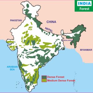 Forest of India