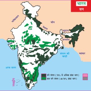Forest of India Hindi